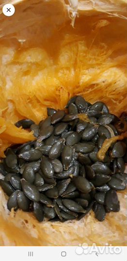 Семена тыквы