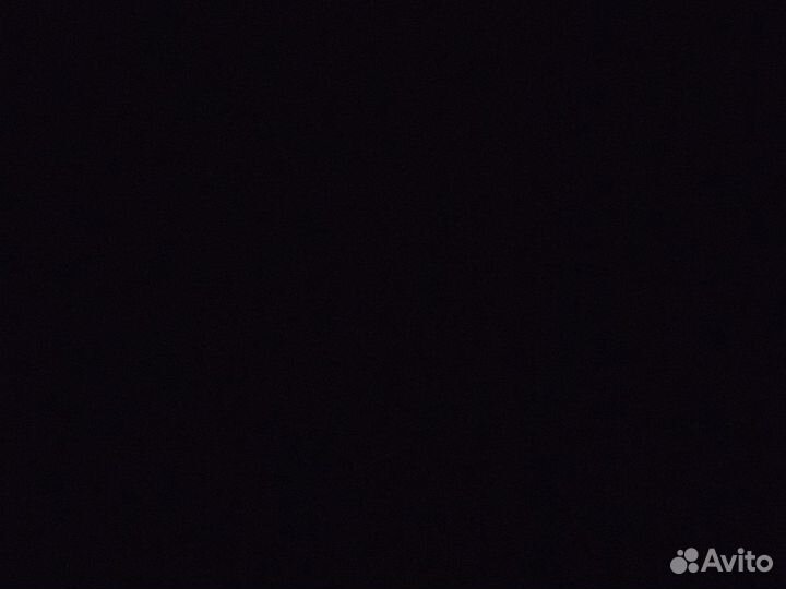 Собаки бесплатно