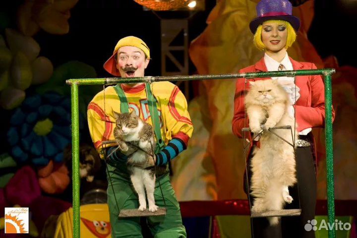 Билеты в Театр кошек Куклачева 1/3