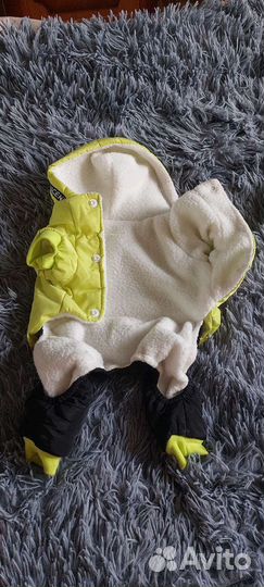 Одежда для маленьких собак