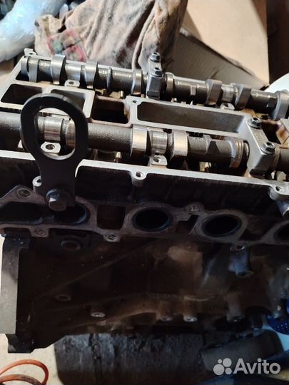 Двигатель ford focus 2 1.8 qqdb