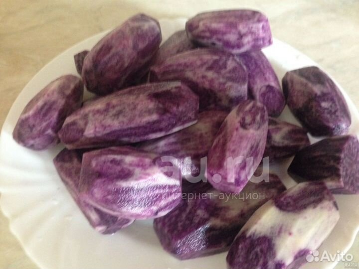 Картофель семенной Французский трюфель