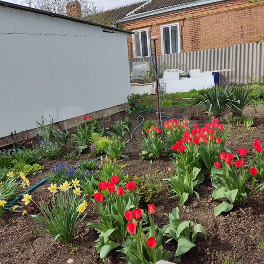 Дом 93 м² на участке 29,9 сот.