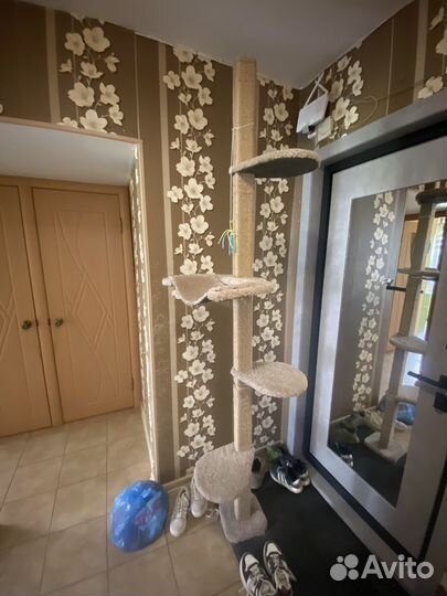 Когтеточка домик для кошки