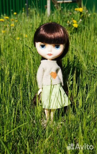 Одежда для блайз свитер