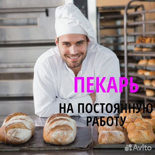 Пекарь ежедневная оплата. vl230