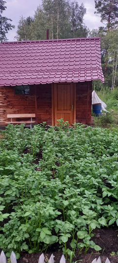 Дача 16,6 м² на участке 7 сот.