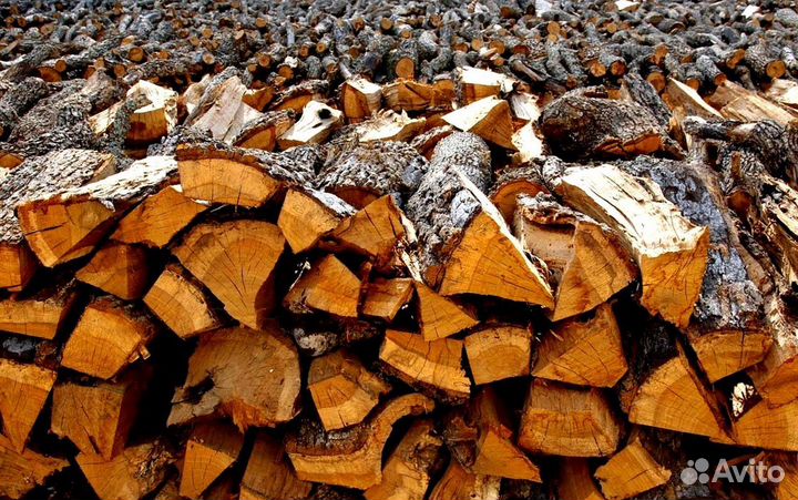 Дрова без гнили