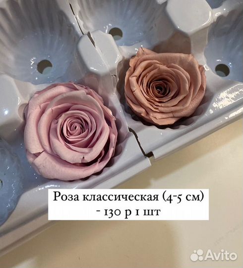 Стабилизированные цветы