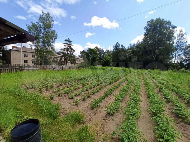 Дом 55,6 м² на участке 6 сот.