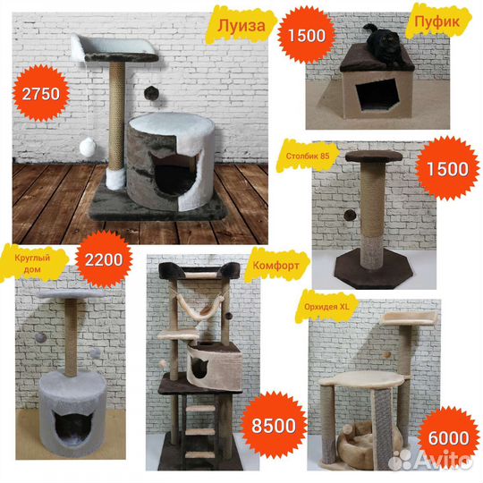 Когтеточки для кошек