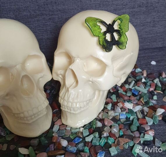 Череп. Пластик