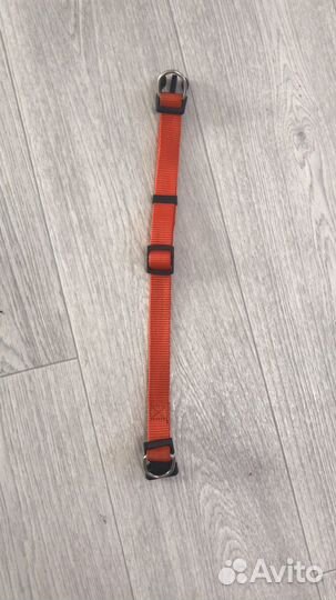 Амуниция для собак