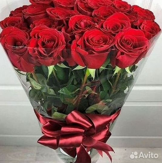 Высокие розы Гигантские розы 110