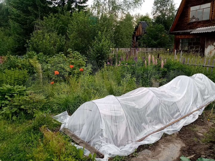 Участок 6 сот. (СНТ, ДНП)