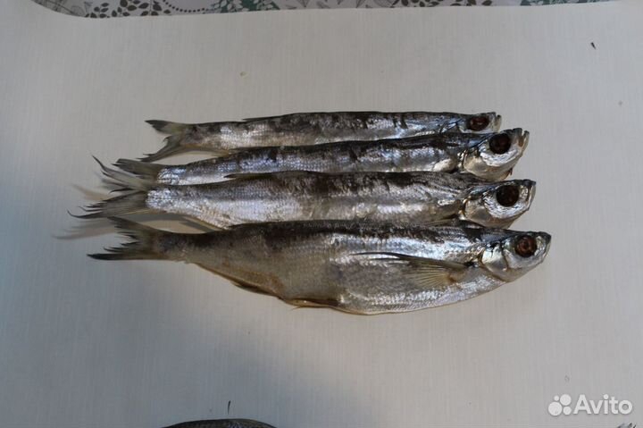 Астраханская вяленая вобла/Доставка