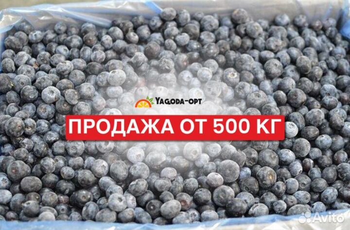 Черника замороженная крупный опт
