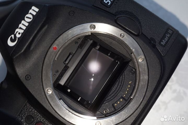 Canon eos 5D Mark II body