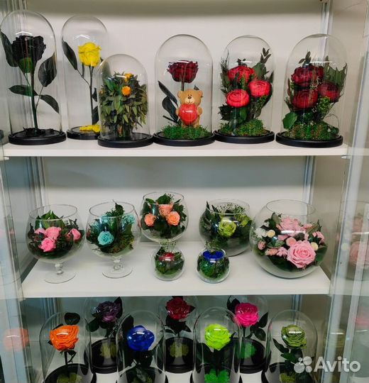 Роза, пионы, цветы в колбе. Подарок. Декор, от