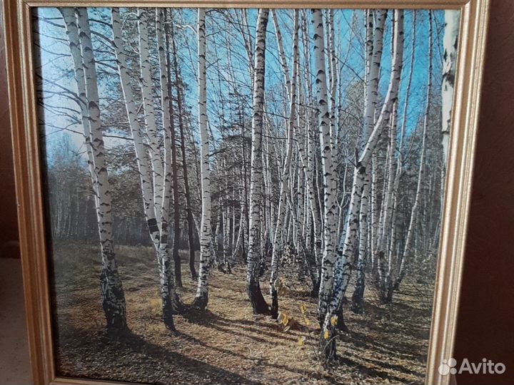 Картина репродукция СССР