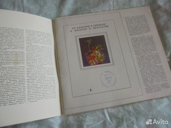 Икэбана Н.П.Николаенко Ташкент 1988 г