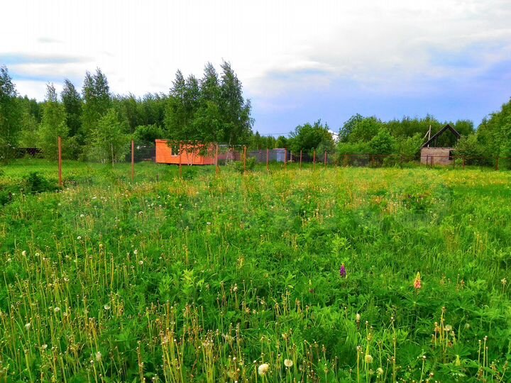 Участок 8,5 сот. (СНТ, ДНП)