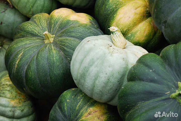 Капуста брокколи и тыква