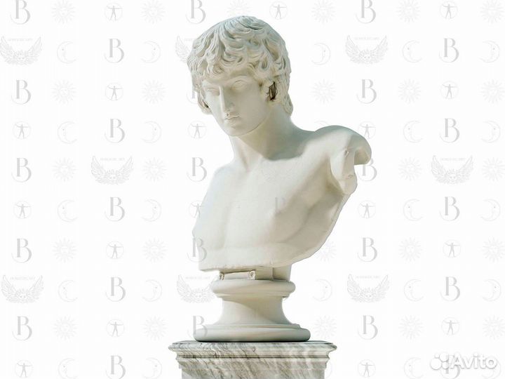 Бюст Антиной 75 см