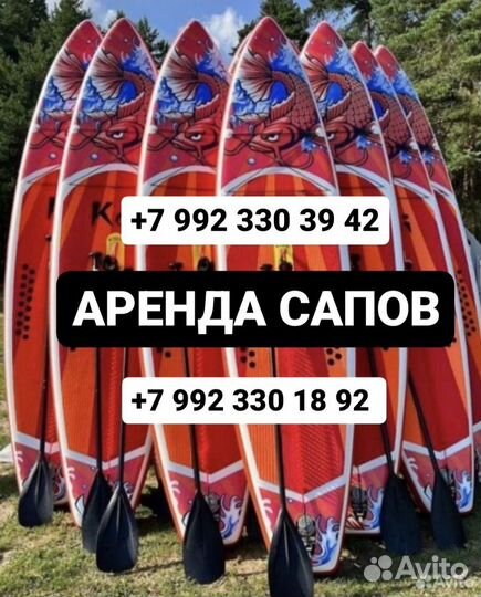 Сапборд аренда