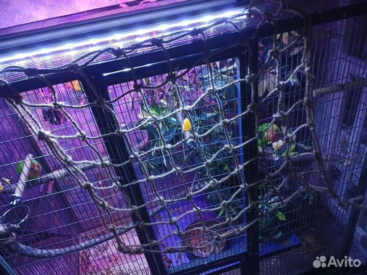 Игрушка для попугаев. Сетка для скалолазания