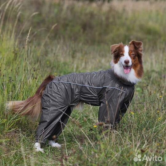 Комбинезон-дождевик (грязь) для собак