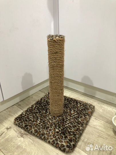 Когтеточка