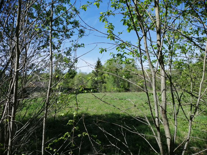 Участок 20 сот. (ИЖС)