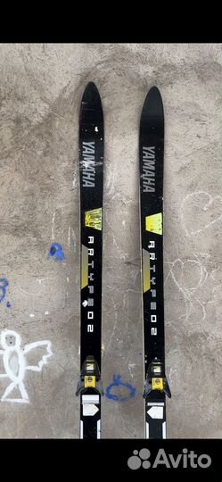 Горные лыжи