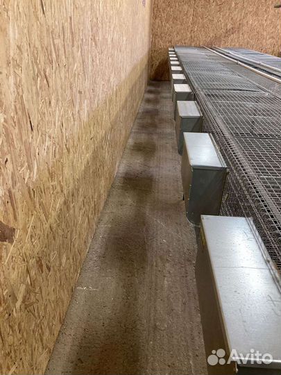 Кролики Клетки