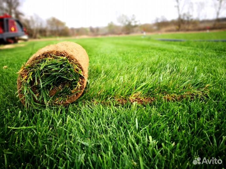 Укладка рулонного газона под ключ