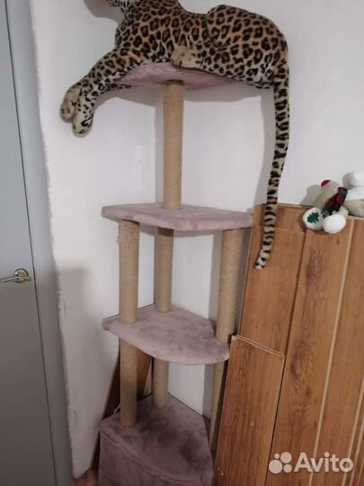 Когтеточка с домиком