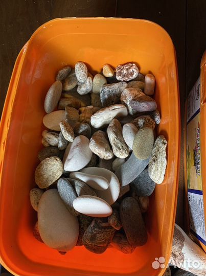 Для аквариума камни ракушки морские
