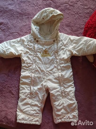 Отдам бесплатно