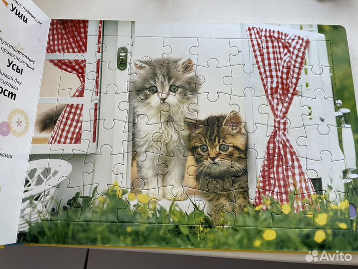 Альбом с 5-ю пазлами с котятами