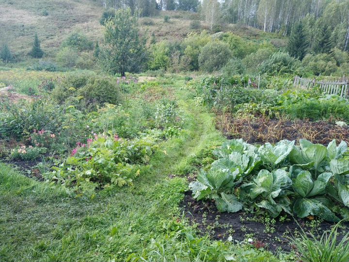 Участок 7 сот. (ИЖС)