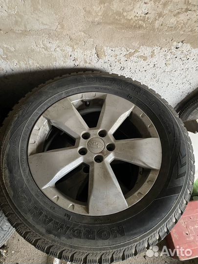 Колева в сборе