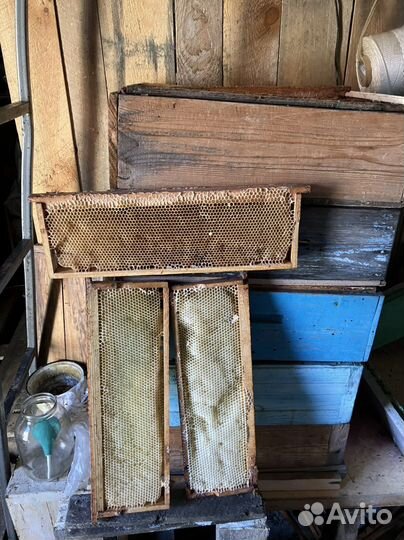 Рамки с сушью