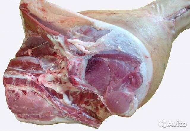 Мясо свинина