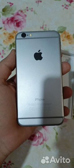 iPhone 6