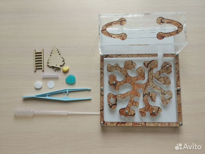 Формикарий