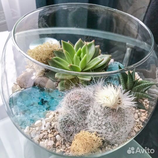 Флорариум размер S, M