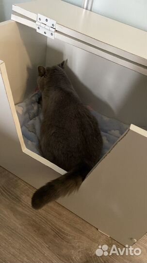 Родильный домик для кошки