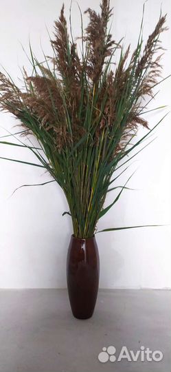 Сухоцветы для декора и магии