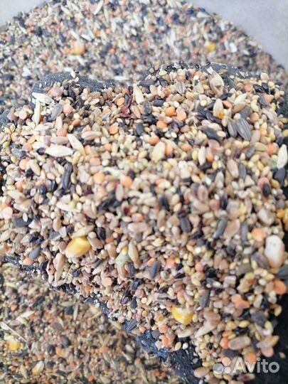 Корма зерно Комбикорма